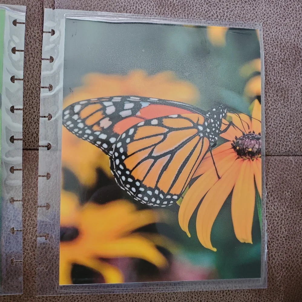 Handmade cover For A Classic Sized Disc Bound Planner mountains, lake
